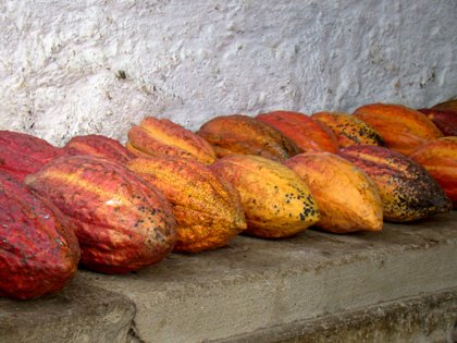 Fazenda Leolinda João Tavares